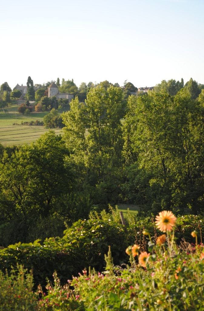 Les Rosiers — photo 12